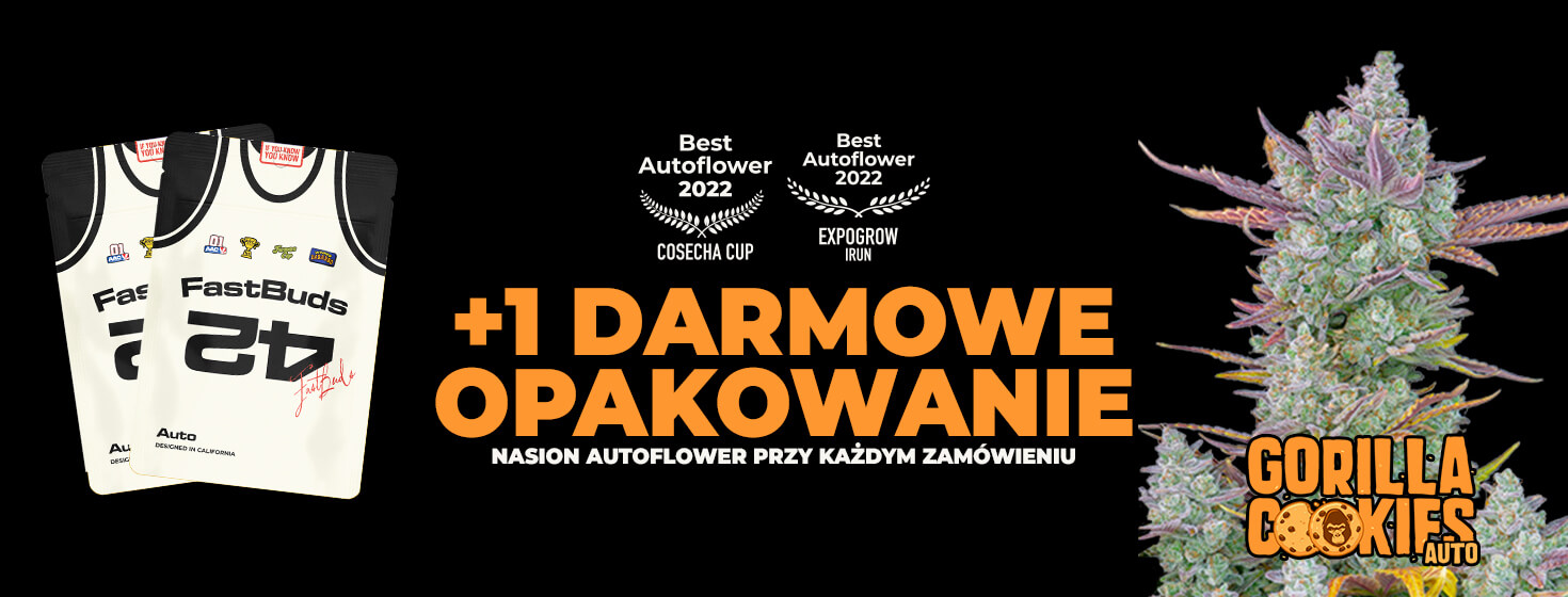 Fast Buds Promo