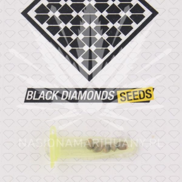 Black Jack Herer Black Diamonds Seeds