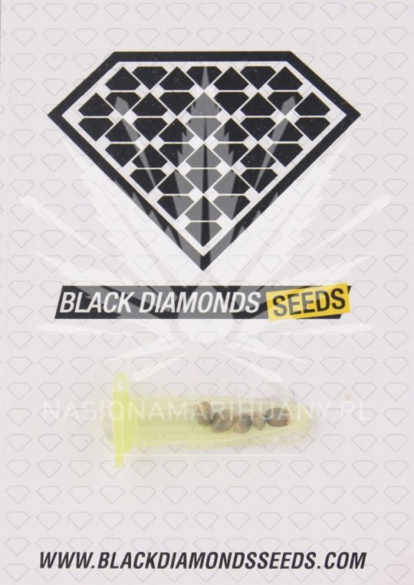 AK 47 Black Diamonds Seeds
