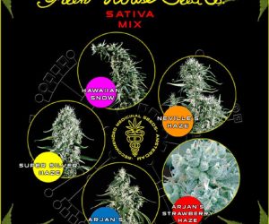 Sativa Mix  Green House Seeds Nasiona marihuany 