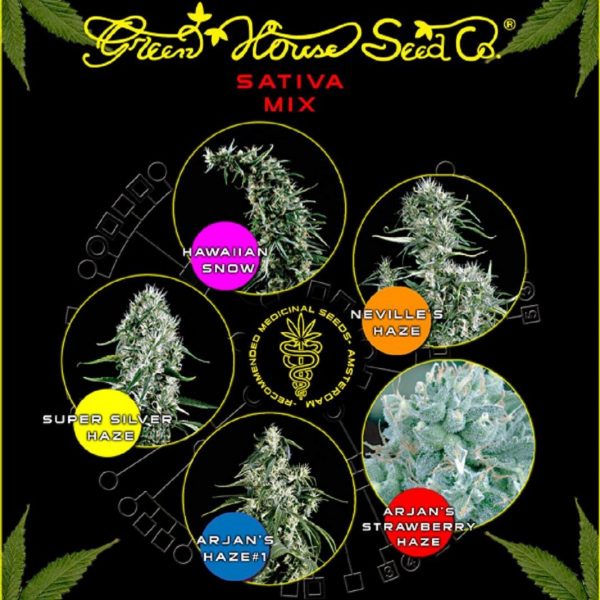 Green House Seeds Sativa Mix