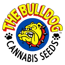 the bulldog seeds logo