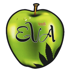 eva seeds logo