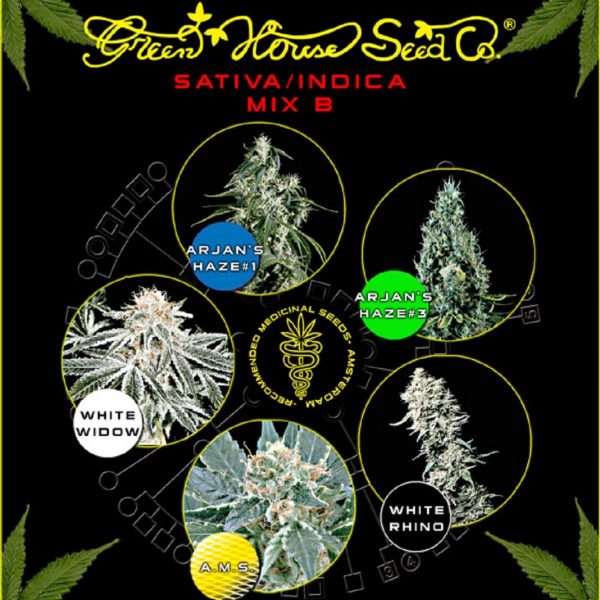Green House Seeds Sativa/Indica Mix B