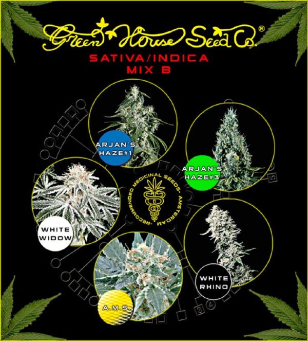 Sativa/Indica Mix B Green House Seeds Nasiona marihuany