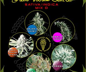 Sativa/Indica Mix D  Green House Seeds Nasiona marihuany 