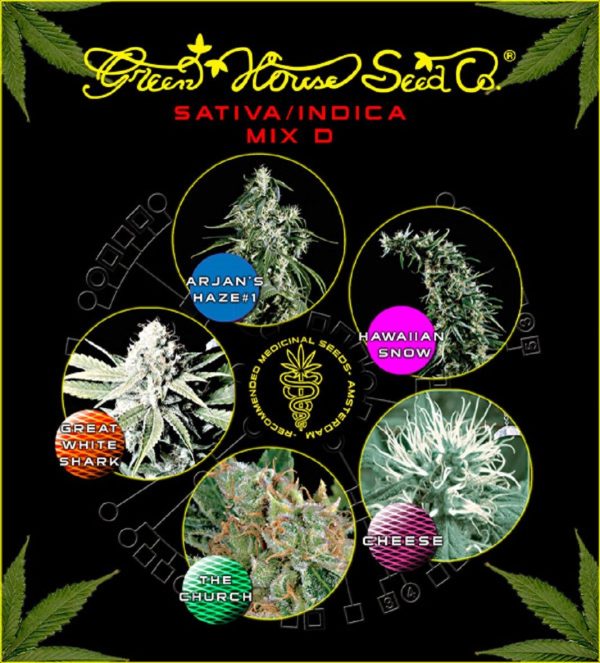 Sativa/Indica Mix D Green House Seeds Nasiona marihuany