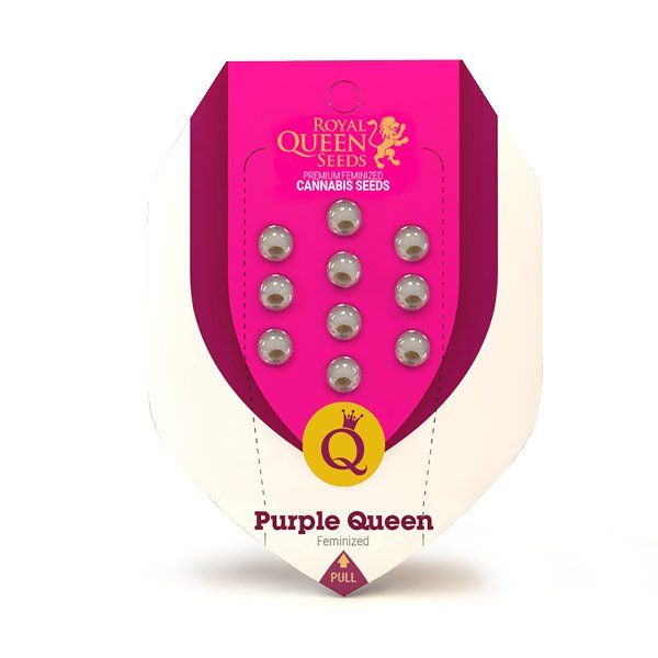 Purple Queen Royal Queen Seeds