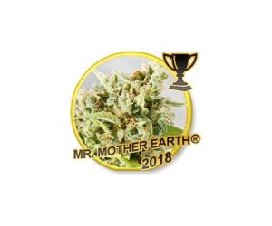 Mr Hide Seeds Mr. Mother Earth