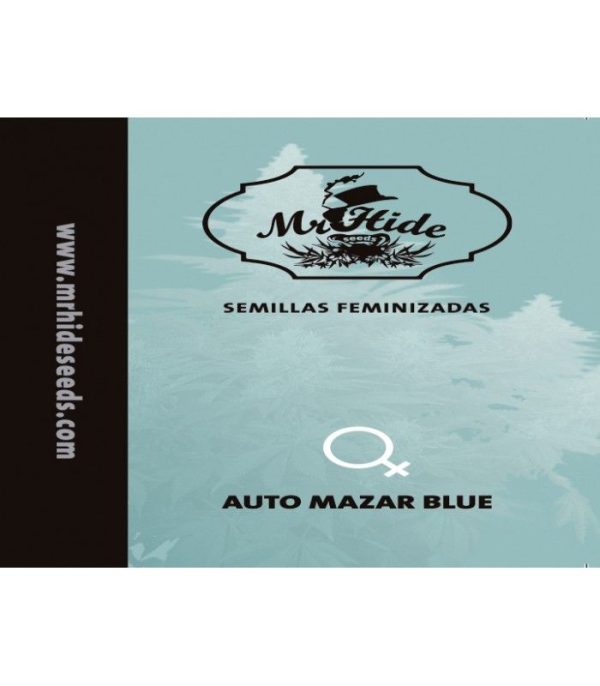 Auto Mazar Blue Mr Hide Seeds