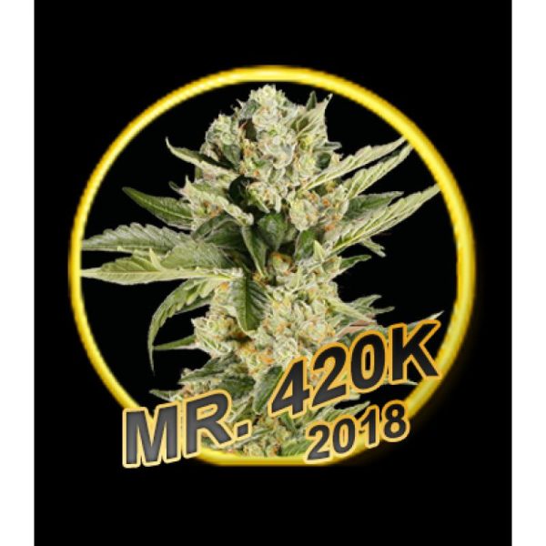 Mr Hide Seeds Mr. 420K