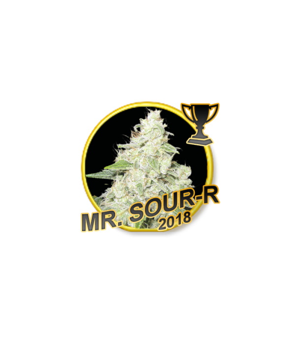 Mr Hide Seeds Mr. Sour-r