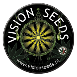Vision Seeds Logo