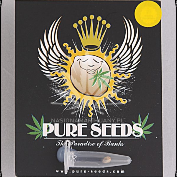 Custom X Pure Seeds