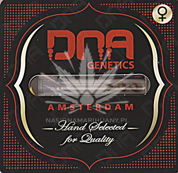 L.A. Woman DNA Genetics