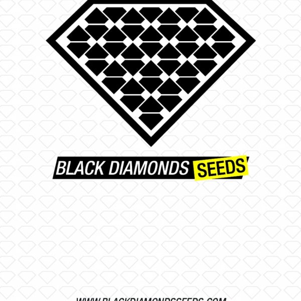 Black Diamonds Seeds Lowryder AUTO