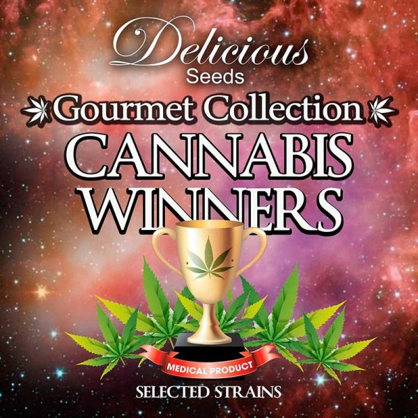 Gourmet Collection Cannabis Winner Strains 2 Delicious Seeds Nasiona marihuany