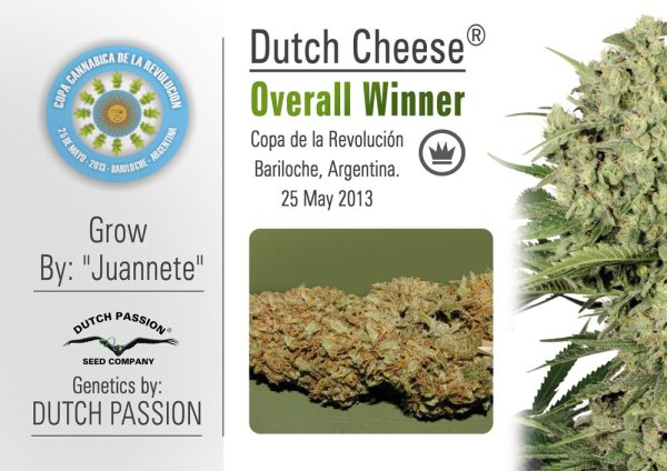 Dutch Cheese Dutch Passion