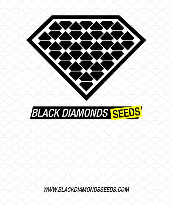 Black Diamonds Seeds Diamond Skunk AUTO