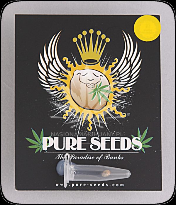 White Widow Pure Seeds