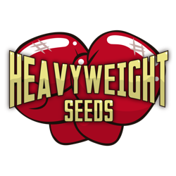 Heavyweight seeds Logo