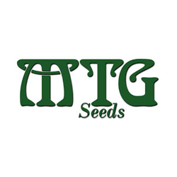 MTG Seeds Logo
