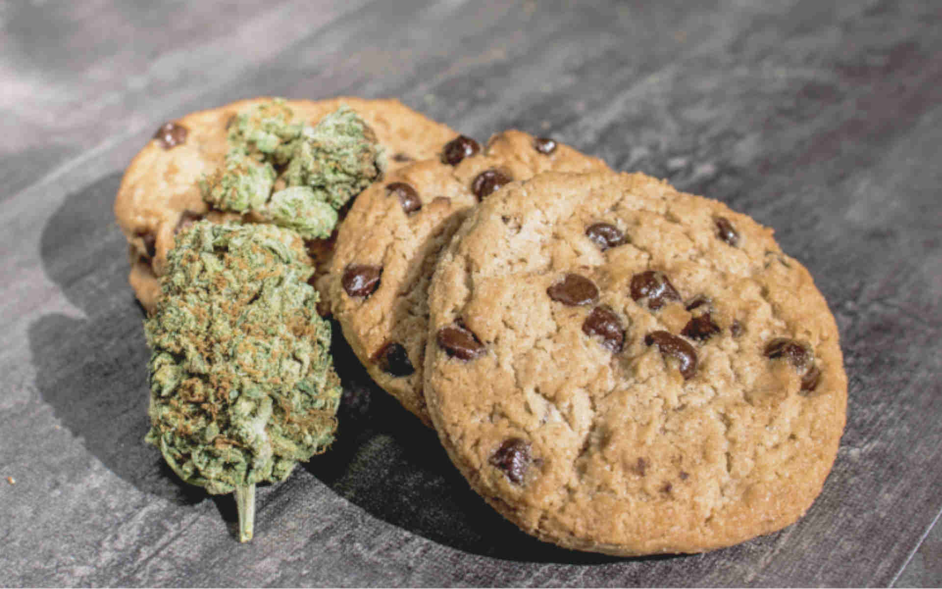 Cream Cookies Auto marihuana