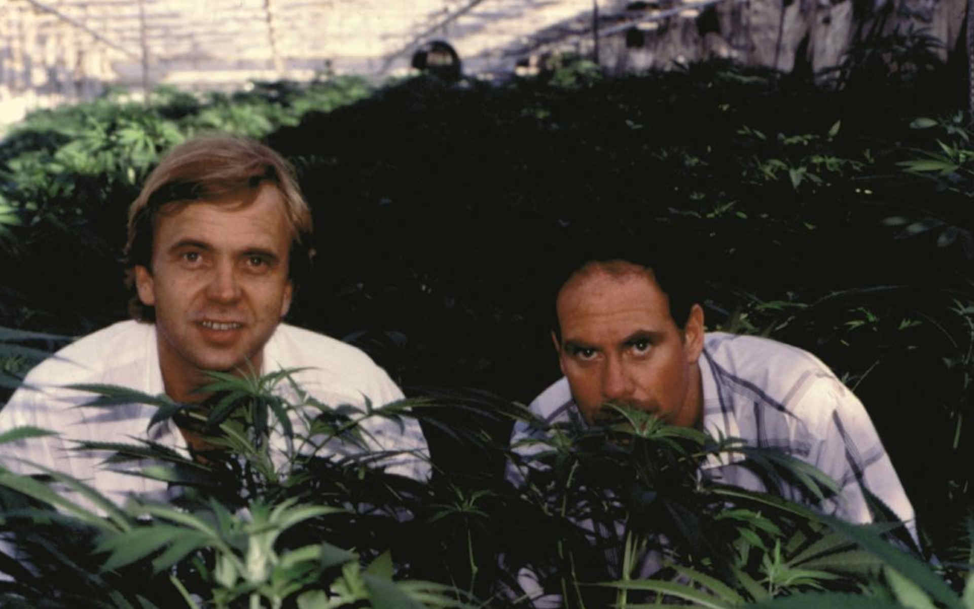 Ed Rosenthal i Ben Dronkers w 1980 roku