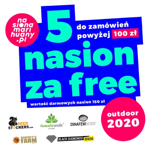 Outdoor 2020 promocja na nasiona marihuany