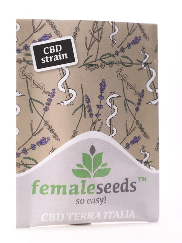 Female Seeds CBD Terra Italia