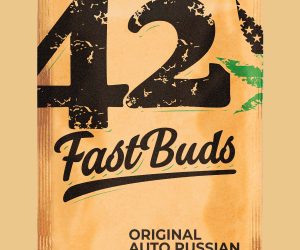Russian Auto  Fast Buds Nasiona marihuany 