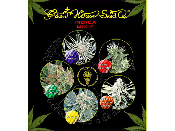 Indica Mix F Green House Seeds Nasiona marihuany
