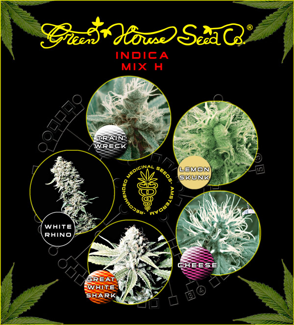 Green House Seeds Indica Mix H