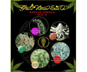 Mix A  Green House Seeds Nasiona marihuany 