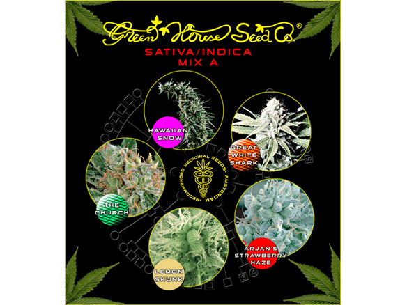 Mix A Green House Seeds Nasiona marihuany