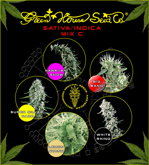 Green House Seeds MIx C
