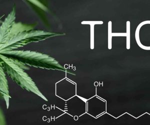 Co to jest THC?