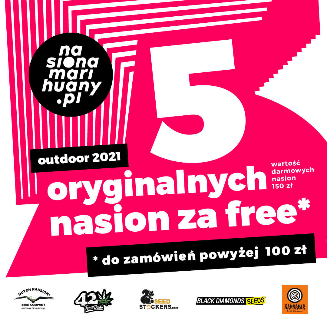 Outdoor 2021 promocja na nasiona marihuany