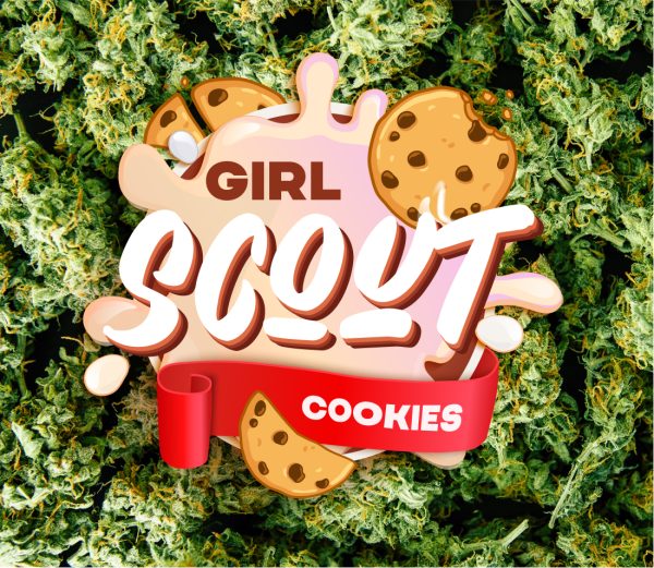 Girl Scout Cookies Black Diamonds Seeds Nasiona marihuany