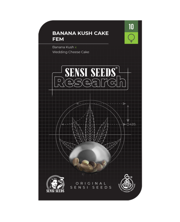 Banana Kush Cake Sensi Seeds Nasiona marihuany