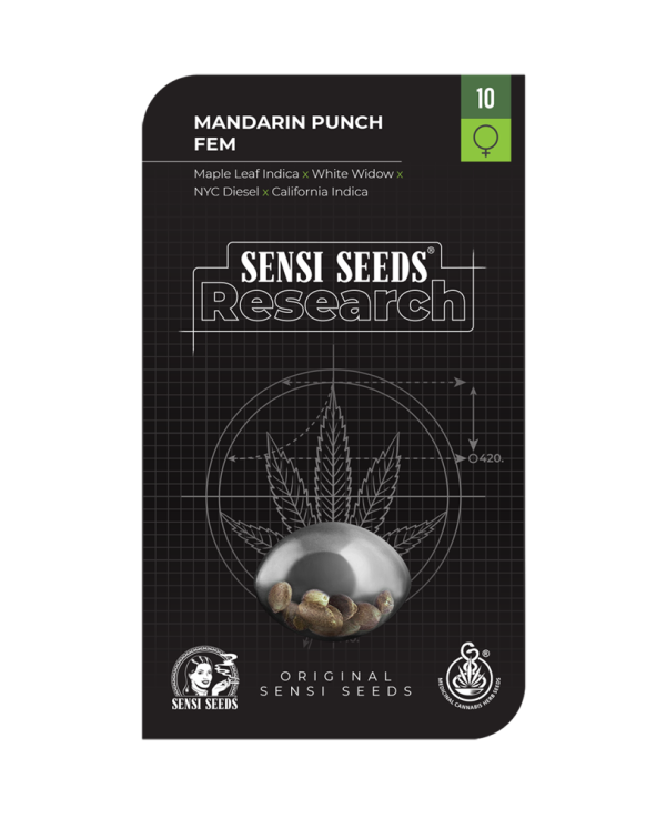 Sensi Seeds Mandarin Punch