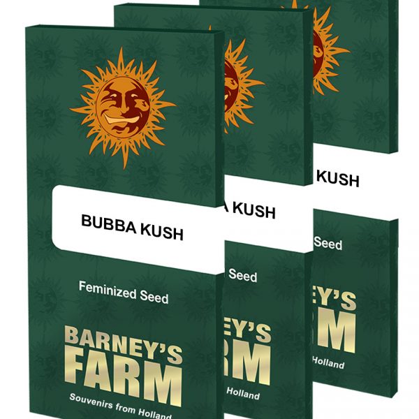 Bubba Kush Barney's Farm