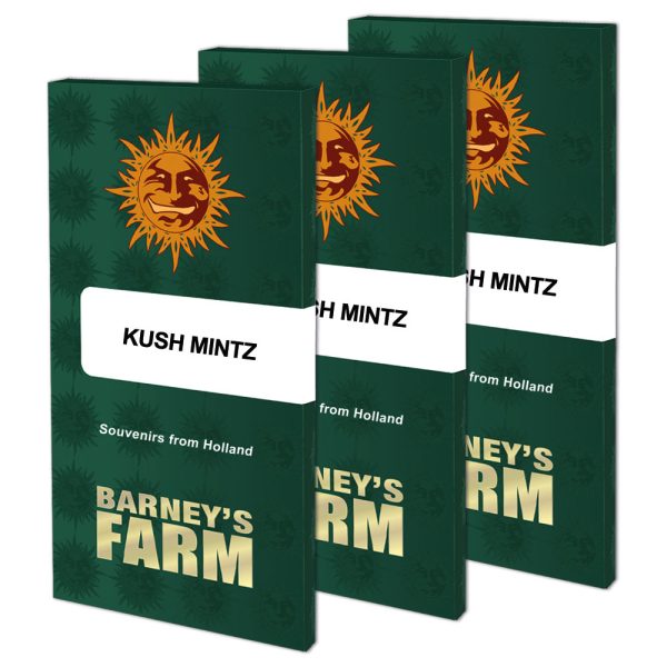 Kush Mintz Barney's Farm