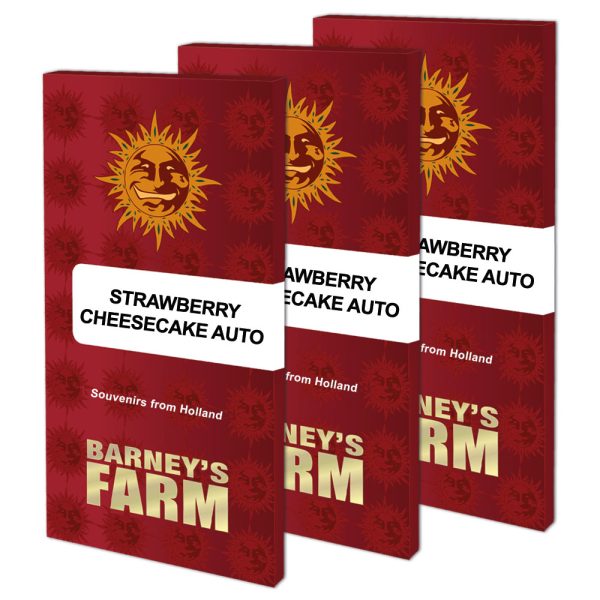 Strawberry Cheesecake Auto Barney's Farm