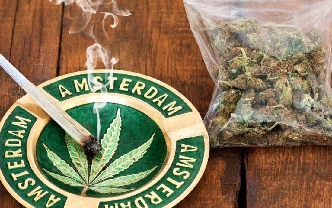Legalność marihuany w Holandii