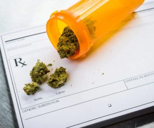 W jakich chorobach stosuje się leczenie medyczną marihuaną?