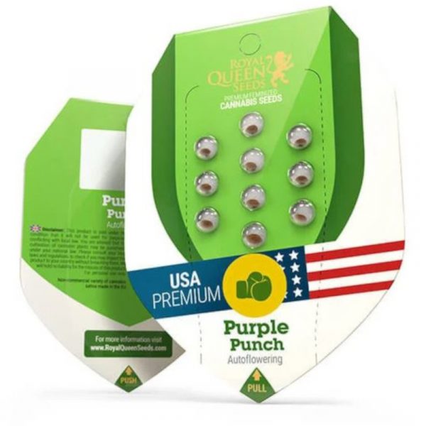 Purple Punch Auto Royal Queen Seeds