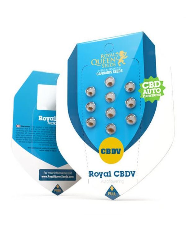 Royal CBDV Automatic Royal Queen Seeds
