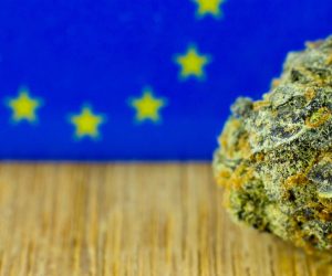 Kraje unii europejskiej, w których marihuana jest legalna