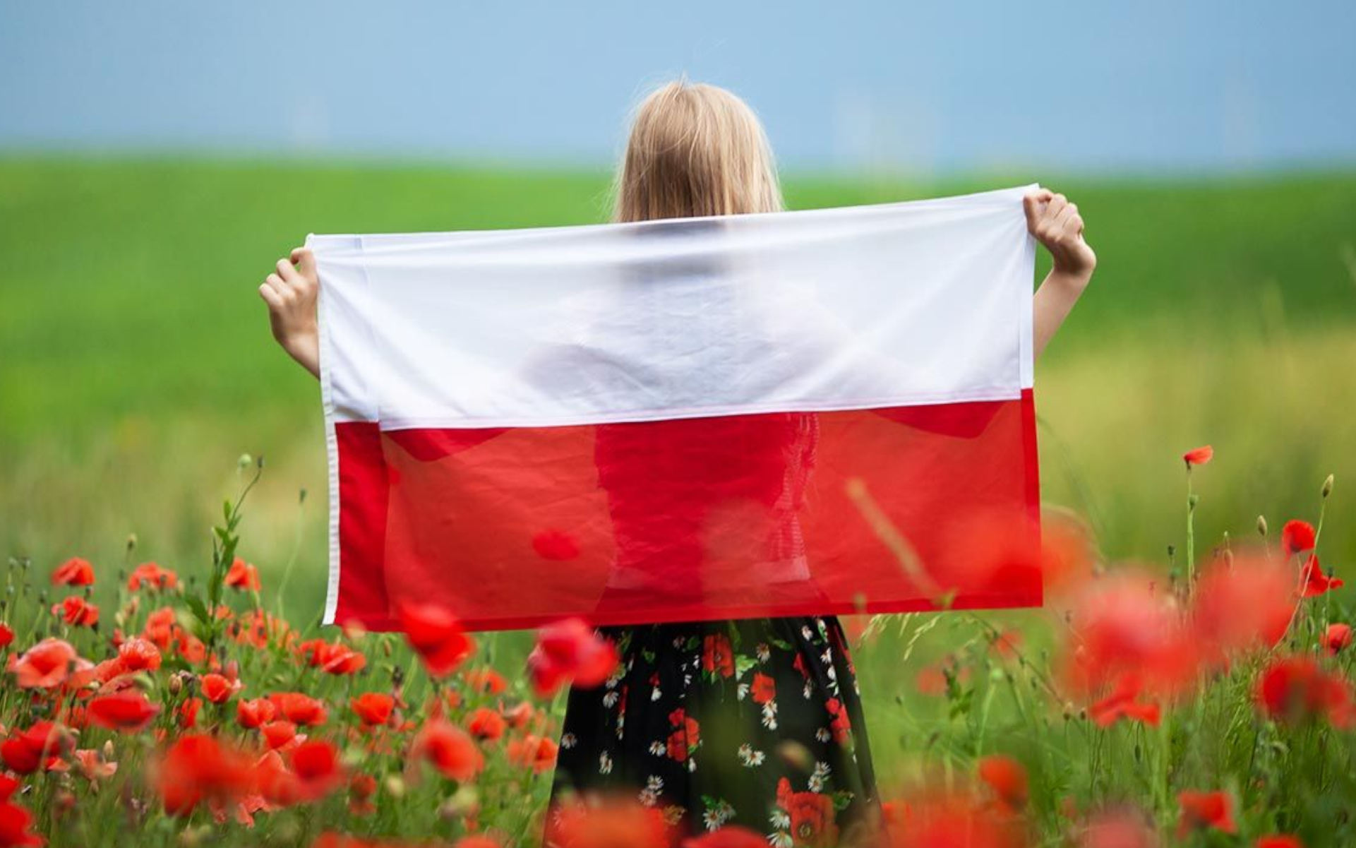 Polska uprawa konopi